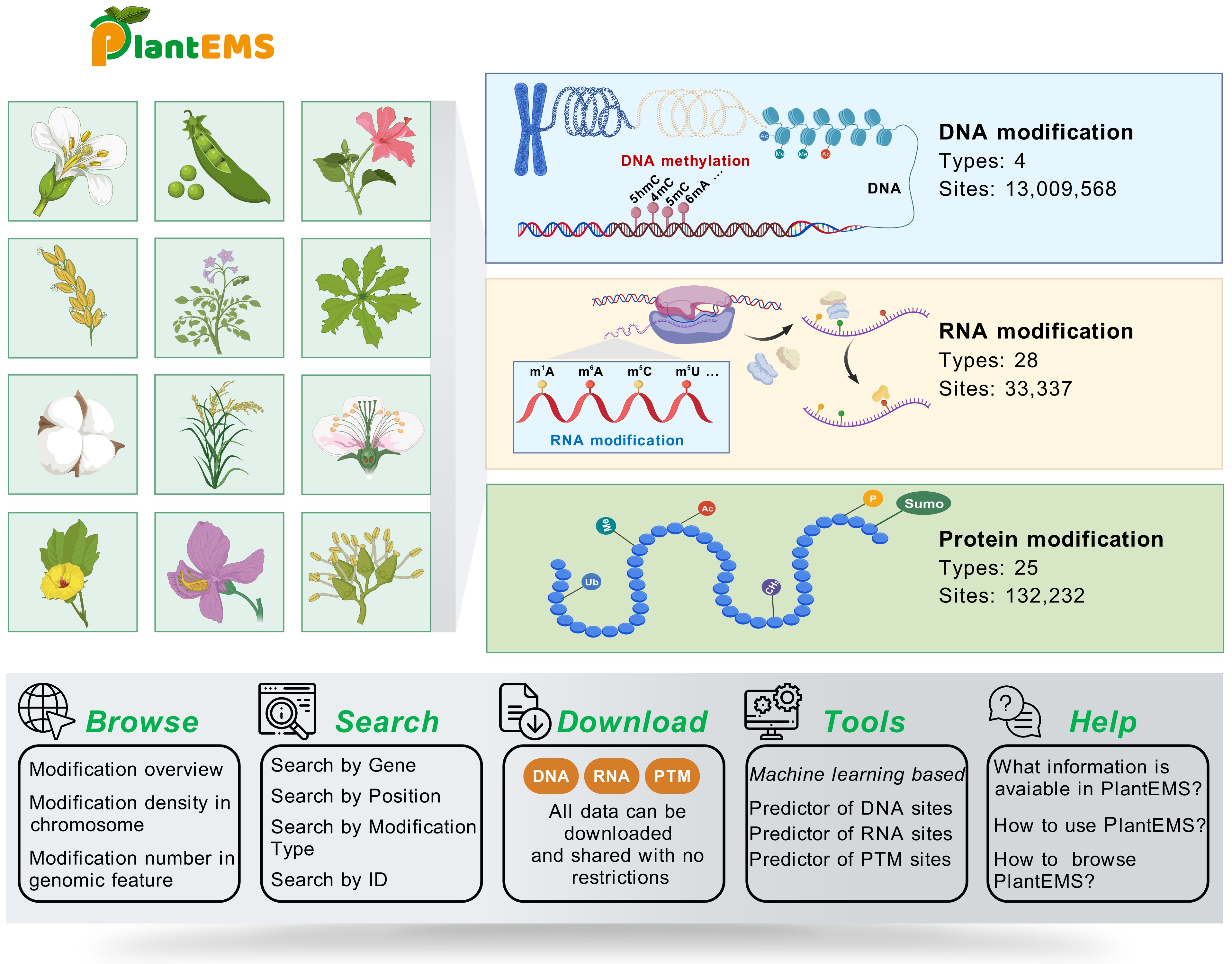 Download page screenshot